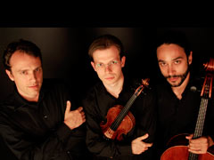 DavidTrio ECMA MDW-Haydn-Saal